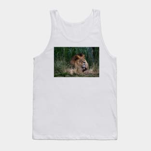 Lion In The Grass Tank Top